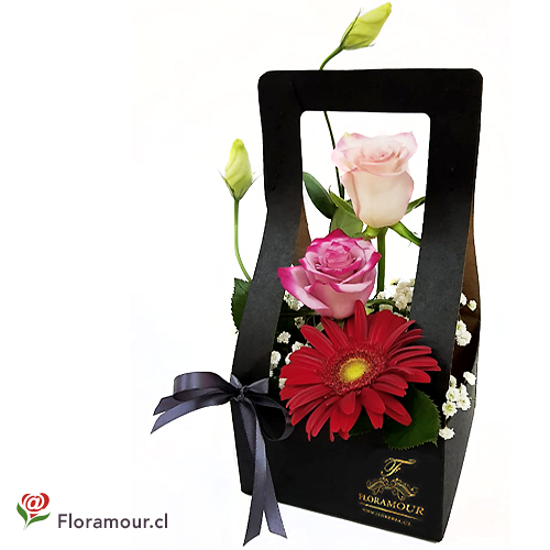 Fina, Moderna y elegante presentación de flores mixtas en caja vertical. Sólo Santiago